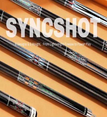 Professional Pool Cue with Hard Case